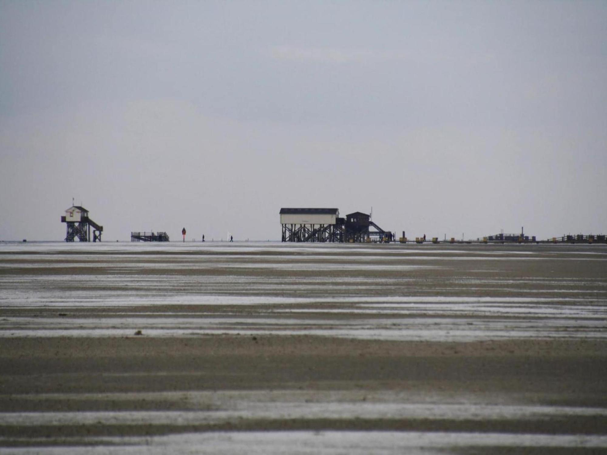 Ferienwohnung, St Peter - Ording Санкт-Петер-Ординг Экстерьер фото